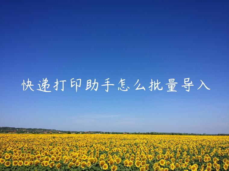 快遞打印助手怎么批量導(dǎo)入